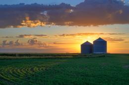 Saskatchewan field